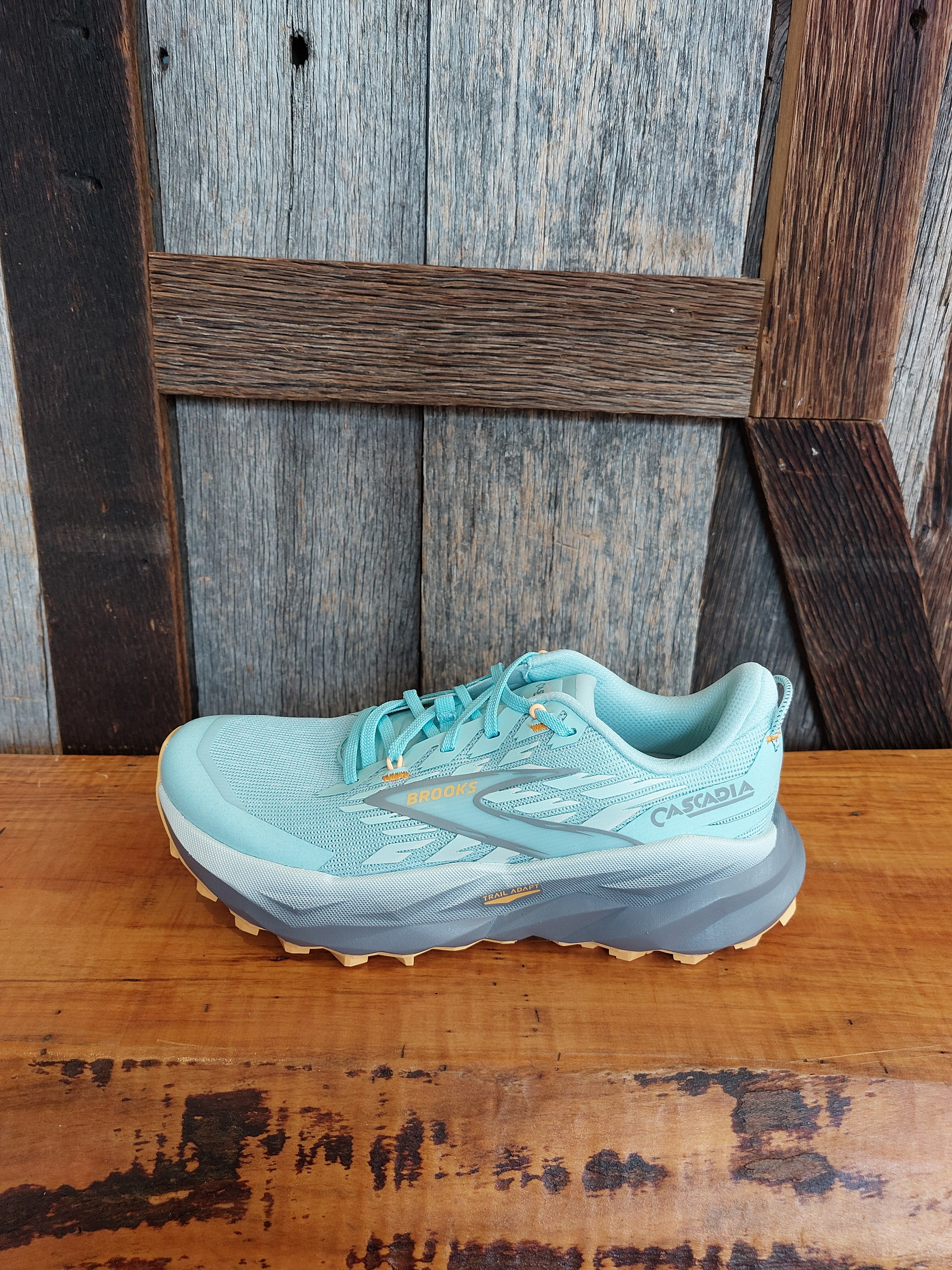 W Brooks Cascadia 19