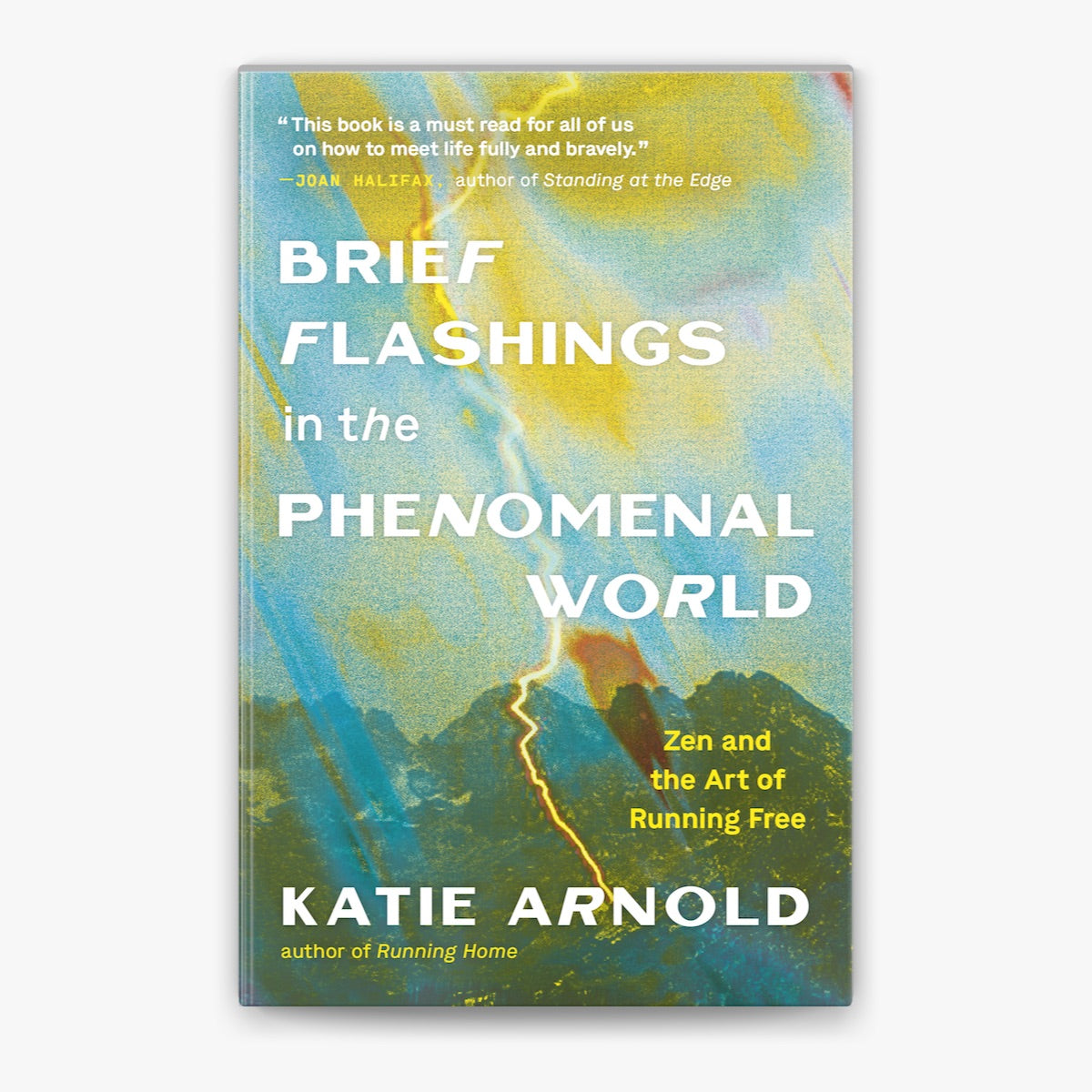 Brief Flashings in the Phenomenal World - Katie Arnold