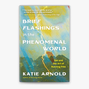 Brief Flashings in the Phenomenal World - Katie Arnold