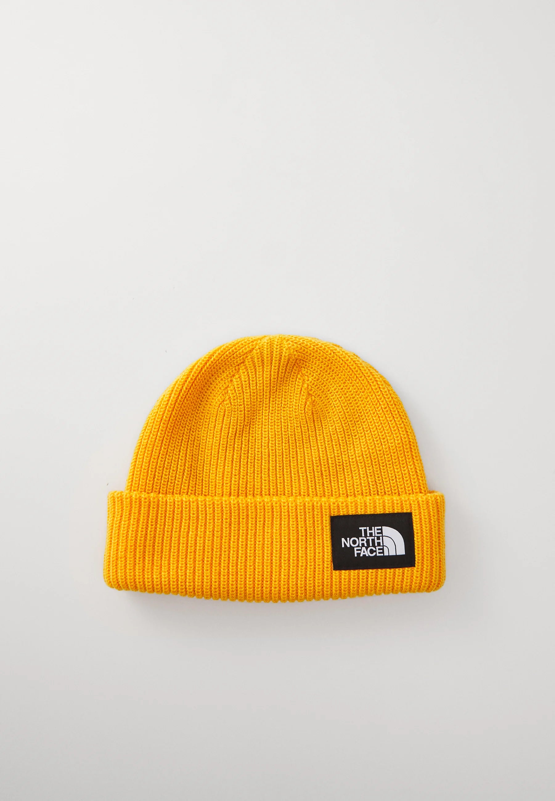 TNF Salty Lined Beanie