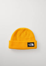 Load image into Gallery viewer, TNF Salty Lined Beanie
